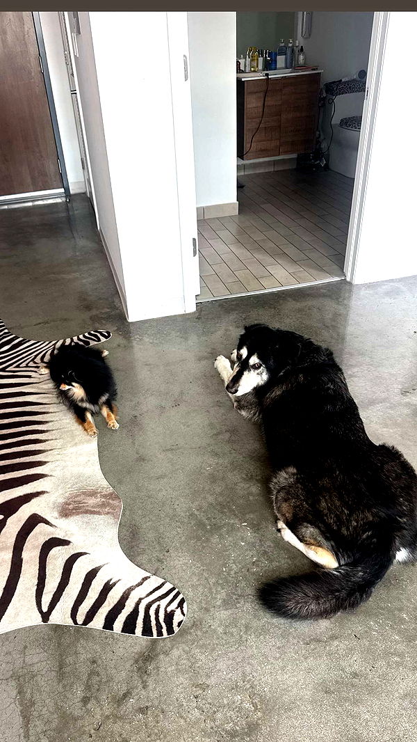 kaygcarlson image ~ Altpins