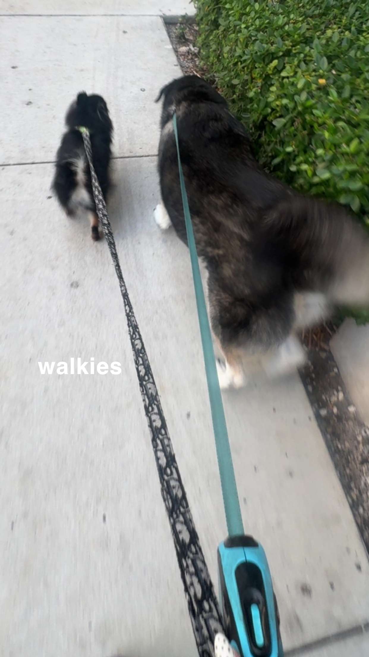 kaygcarlson snapchat image archive image