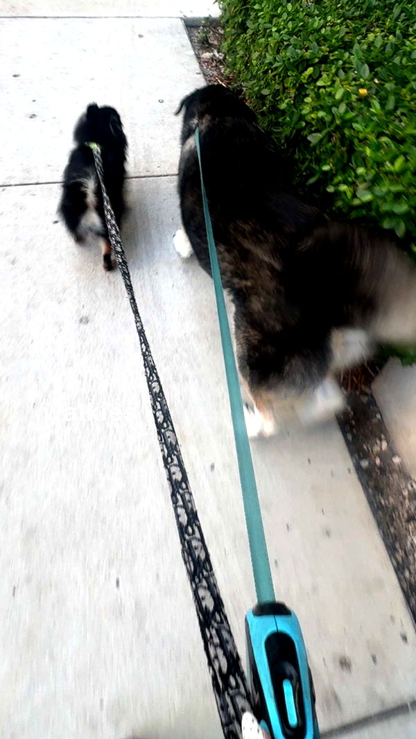 kaygcarlson image ~ Altpins