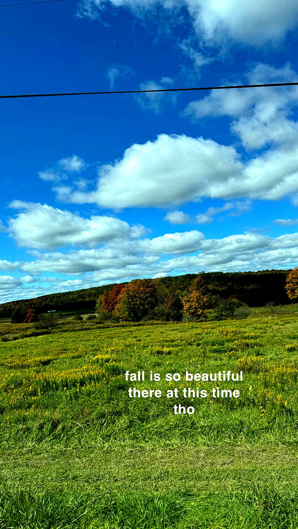 kaygcarlson image ~ Altpins