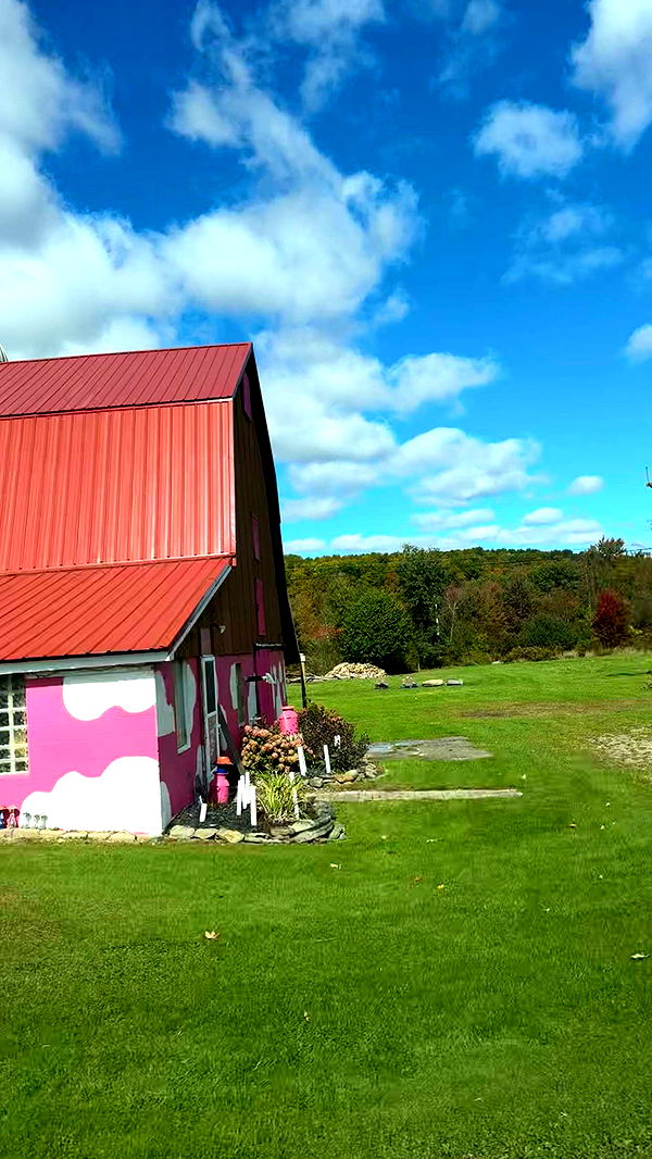 kaygcarlson image ~ Altpins