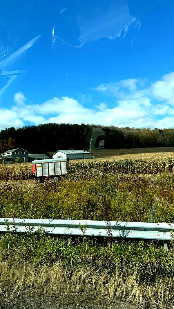 kaygcarlson image ~ Altpins