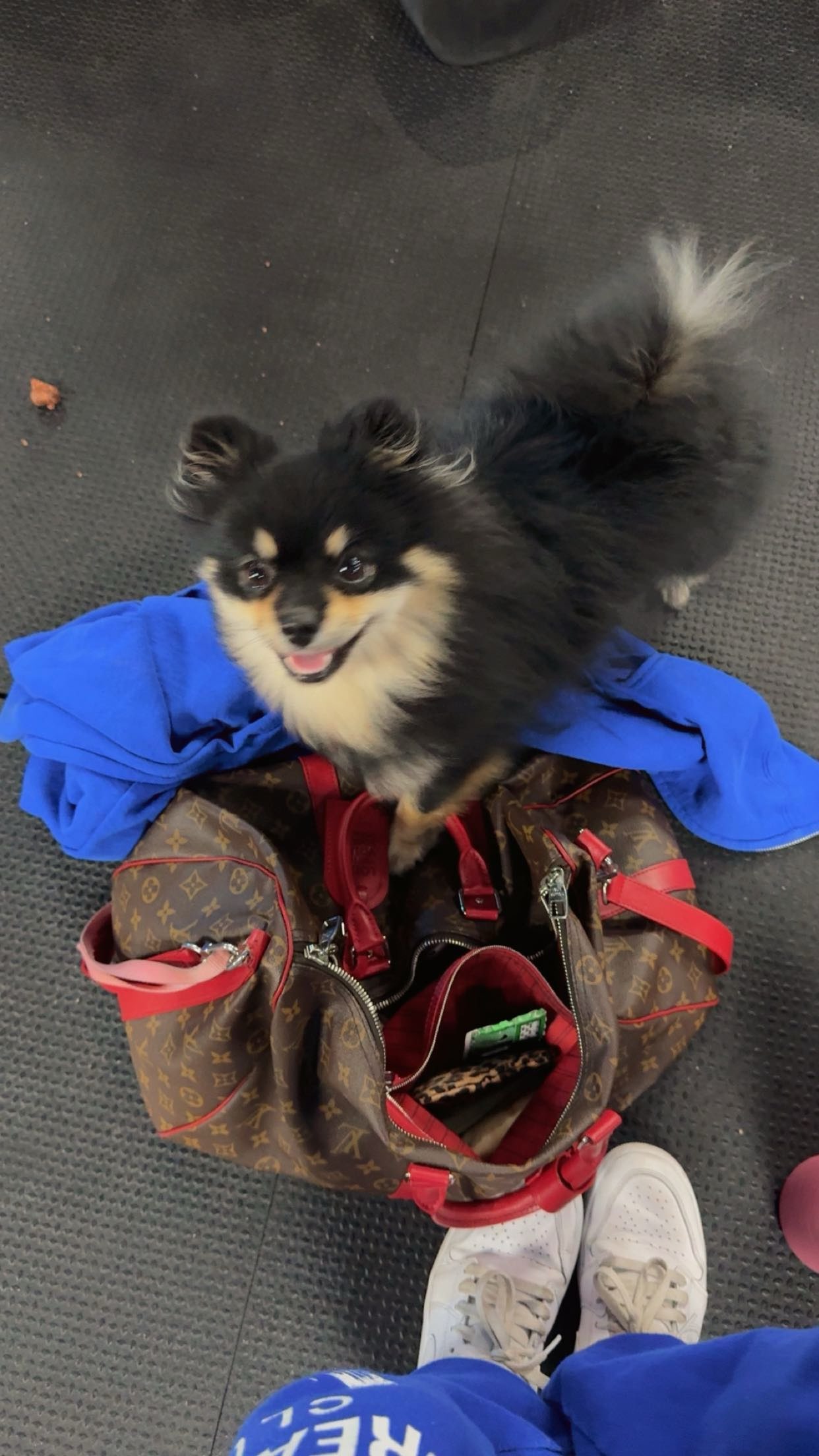 kaygcarlson snapchat image archive image