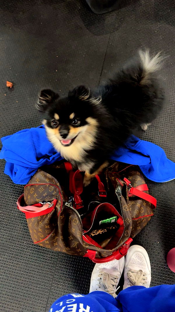 kaygcarlson image ~ Altpins