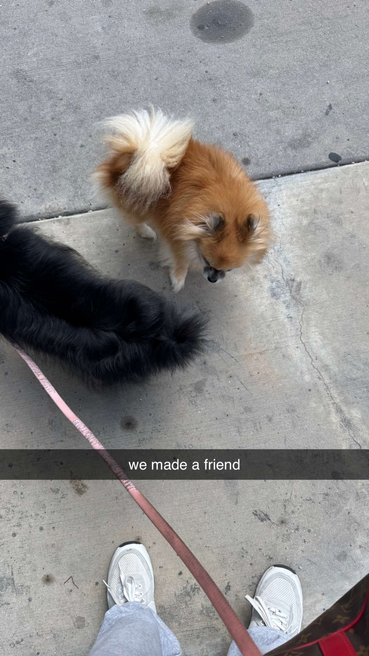 kaygcarlson snapchat image archive image