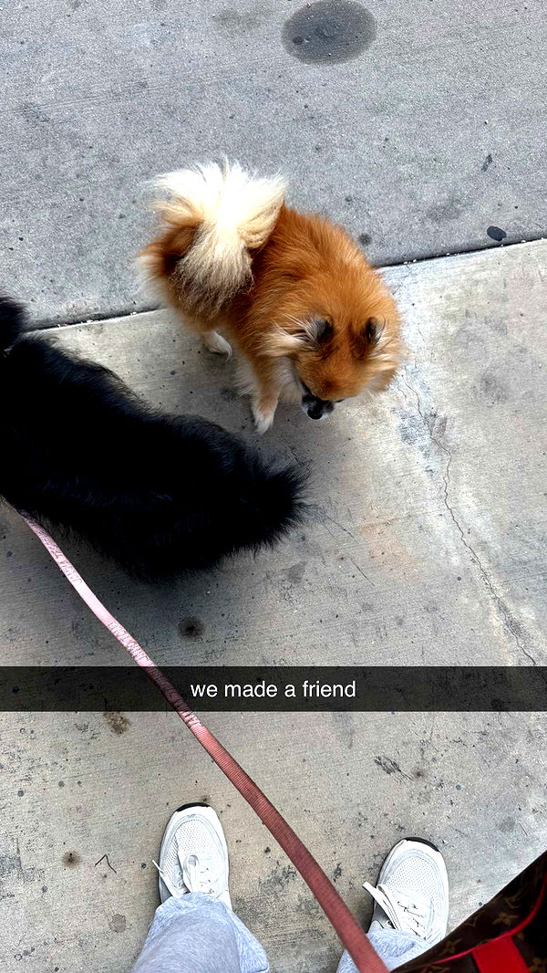 kaygcarlson image ~ Altpins