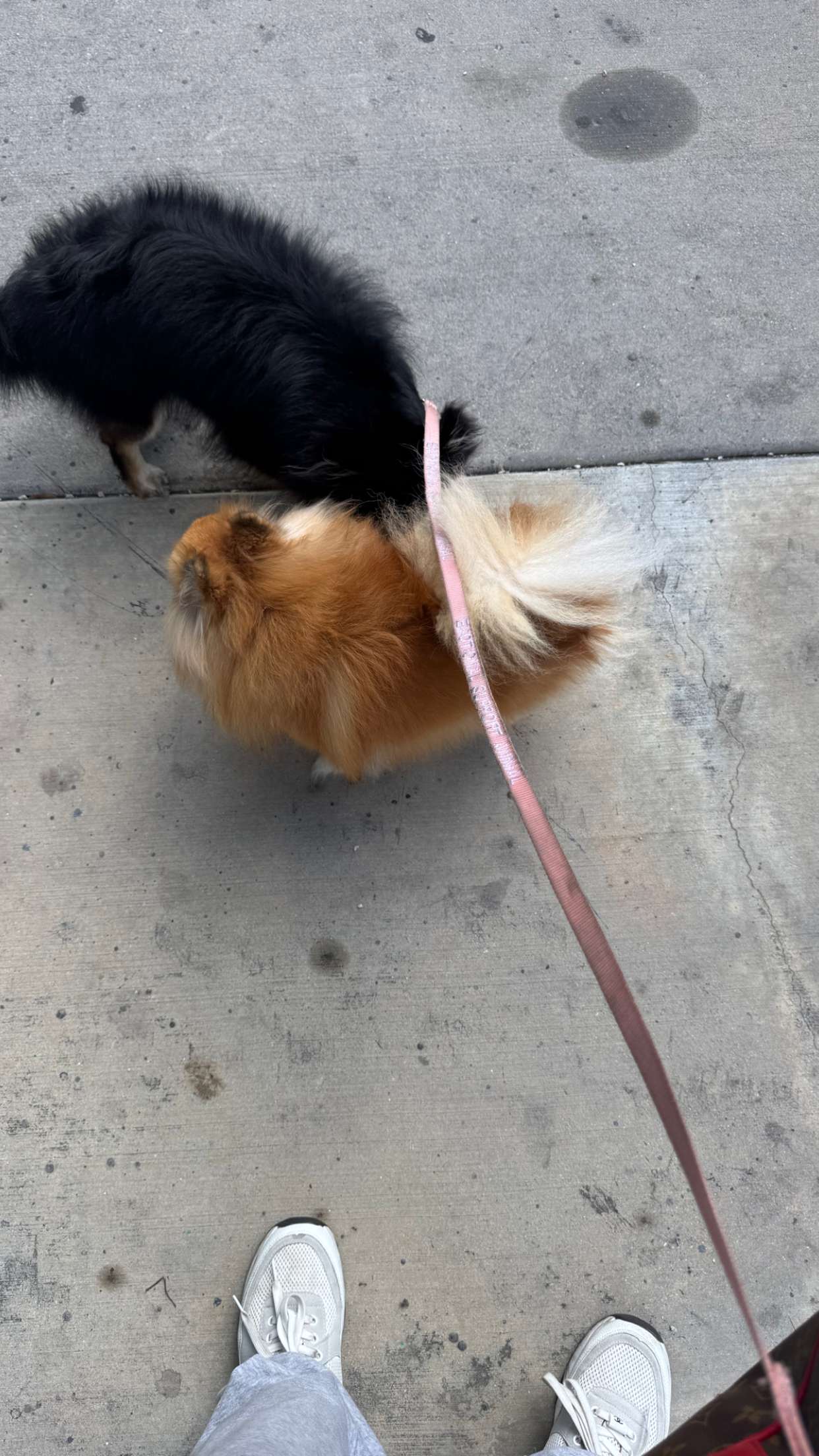 kaygcarlson snapchat image archive image