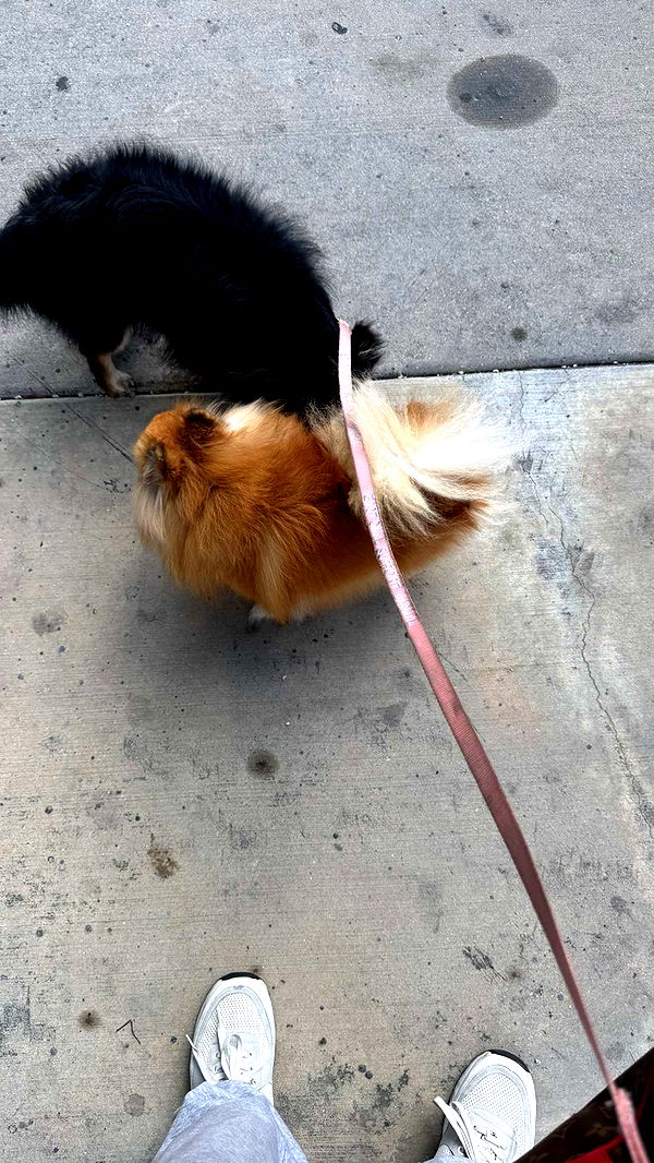 kaygcarlson image ~ Altpins