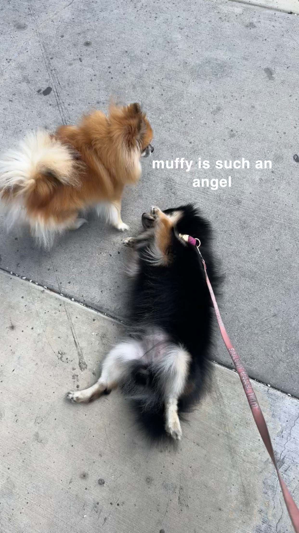 kaygcarlson snapchat image archive image