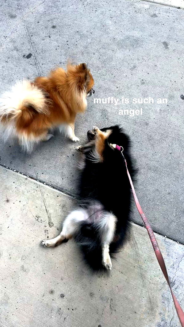 kaygcarlson image ~ Altpins