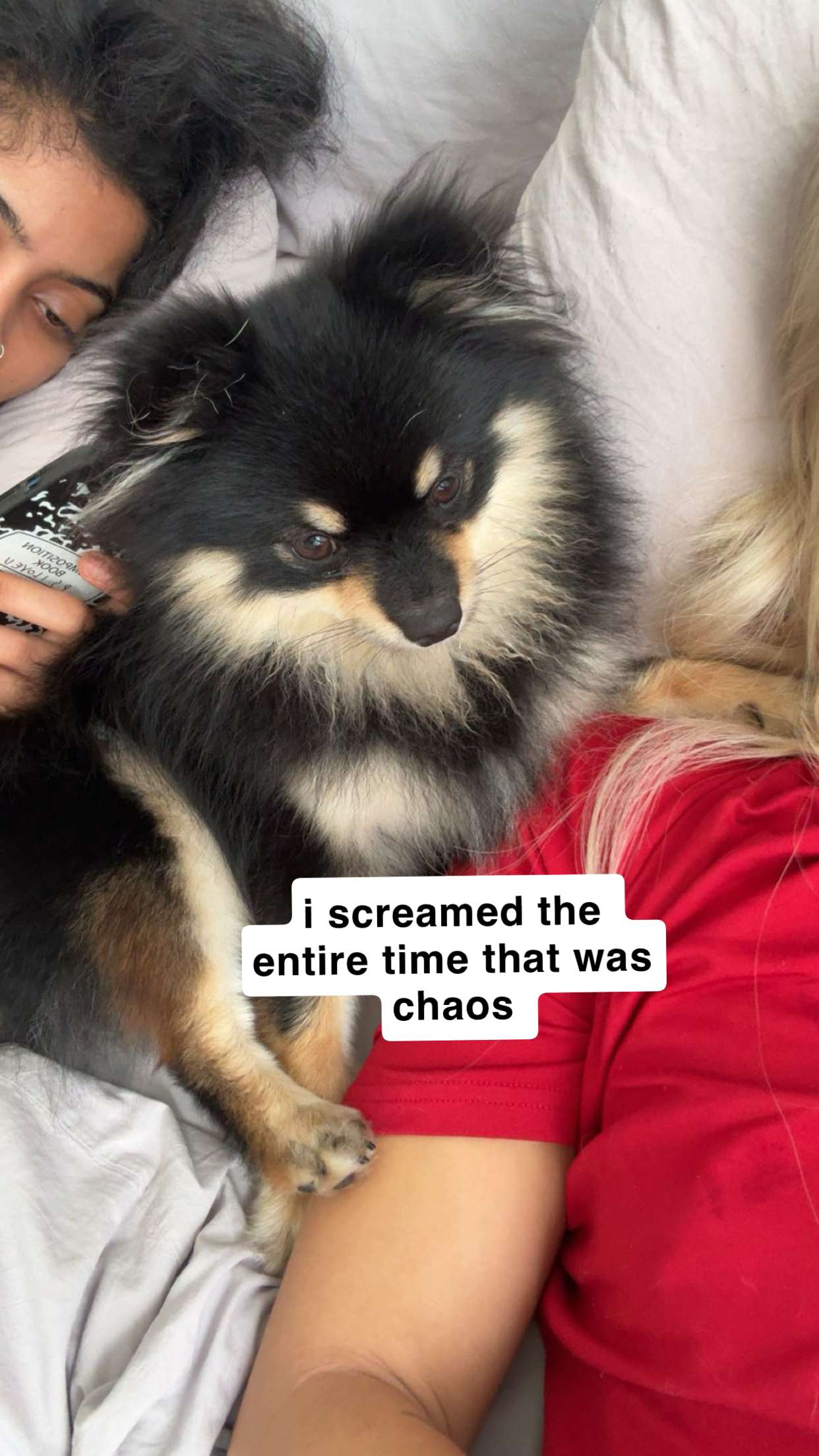 kaygcarlson snapchat image archive image