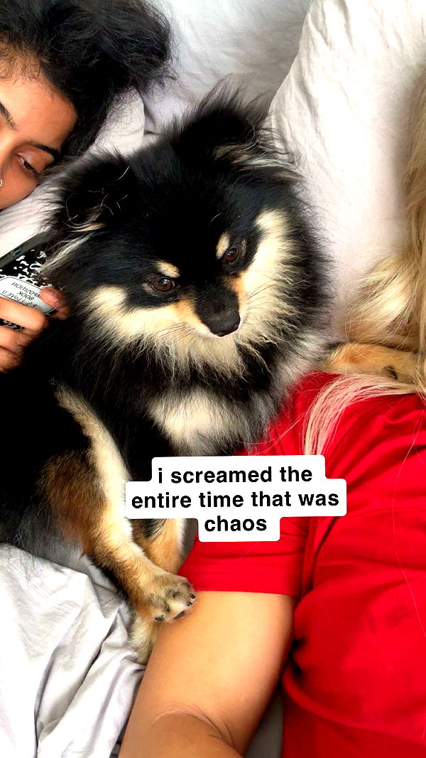 kaygcarlson image ~ Altpins