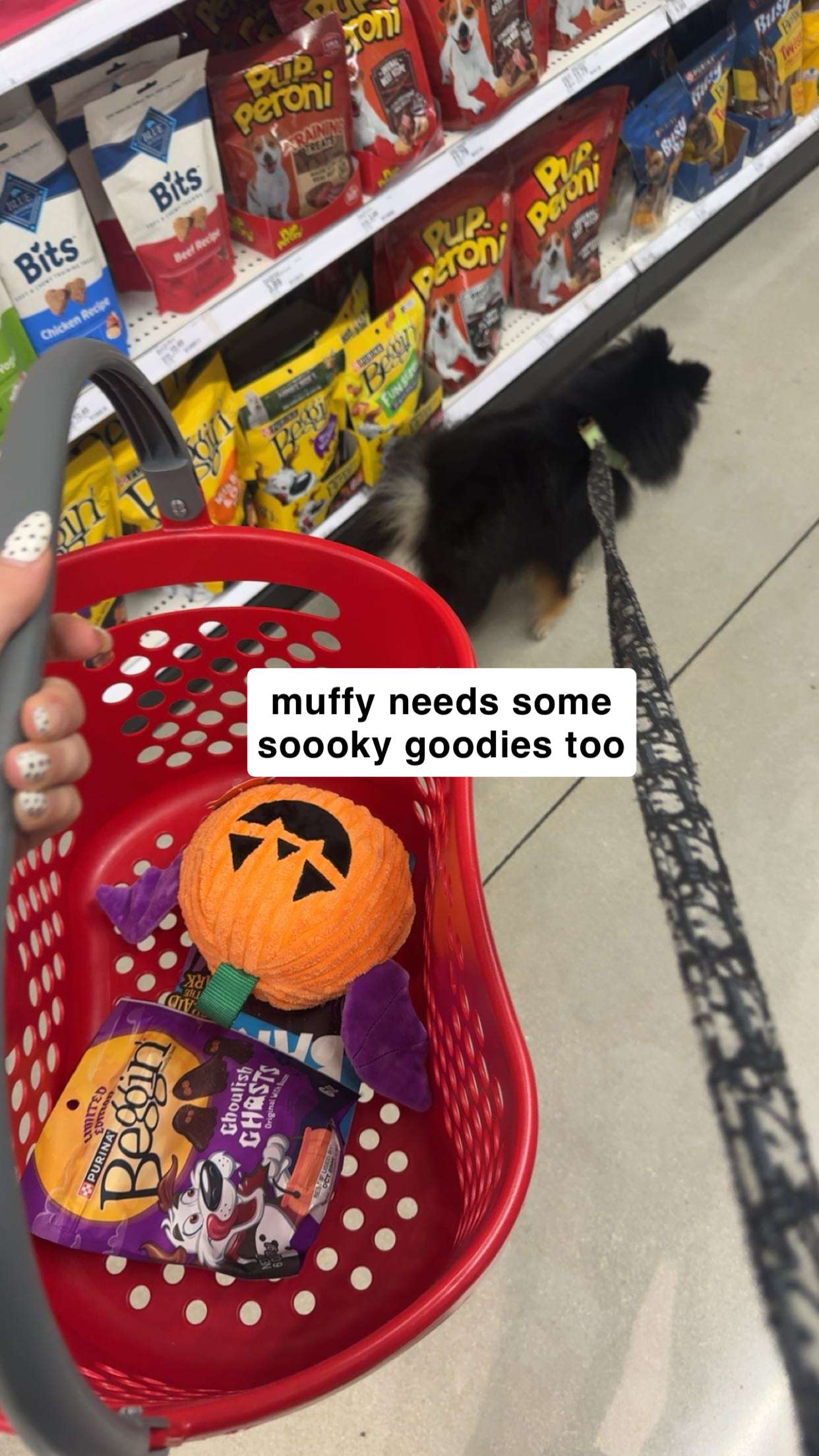 kaygcarlson snapchat image archive image