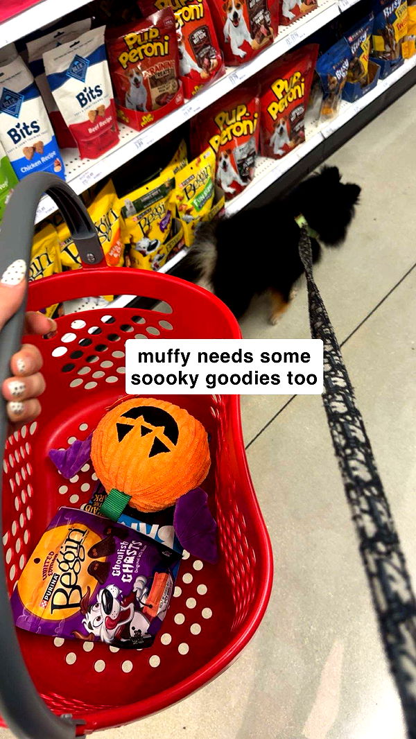 kaygcarlson image ~ Altpins