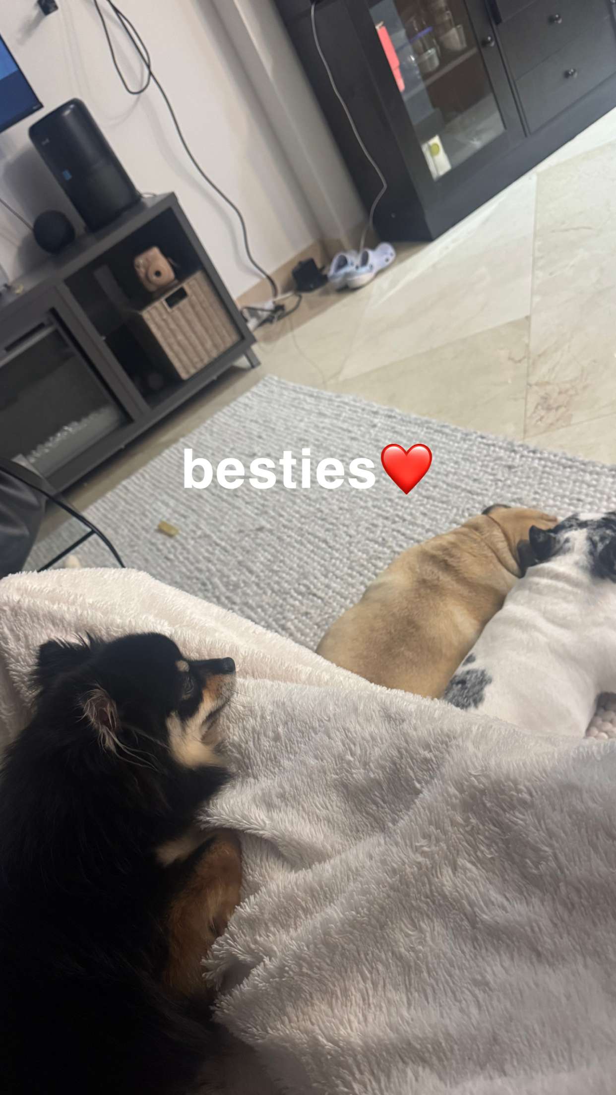 kaygcarlson snapchat image archive image