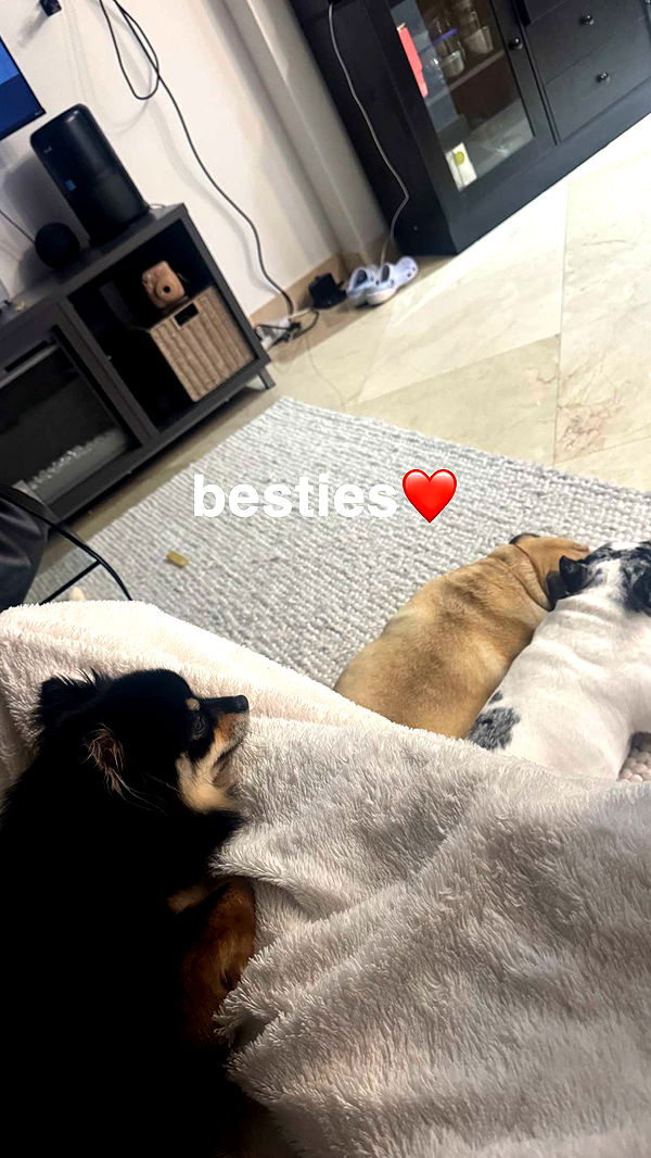 kaygcarlson image ~ Altpins