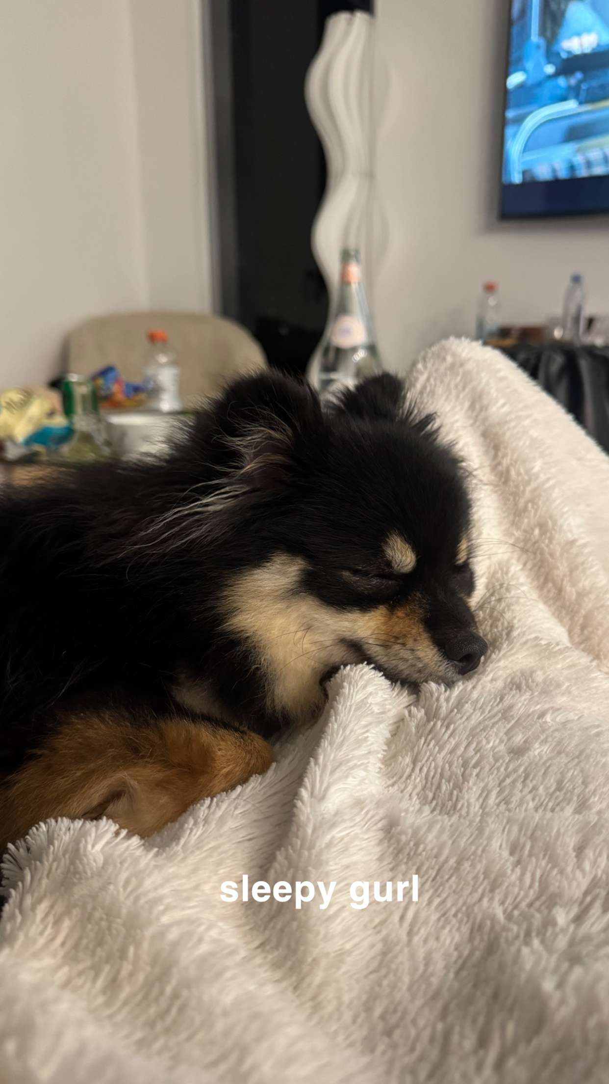 kaygcarlson snapchat image archive image