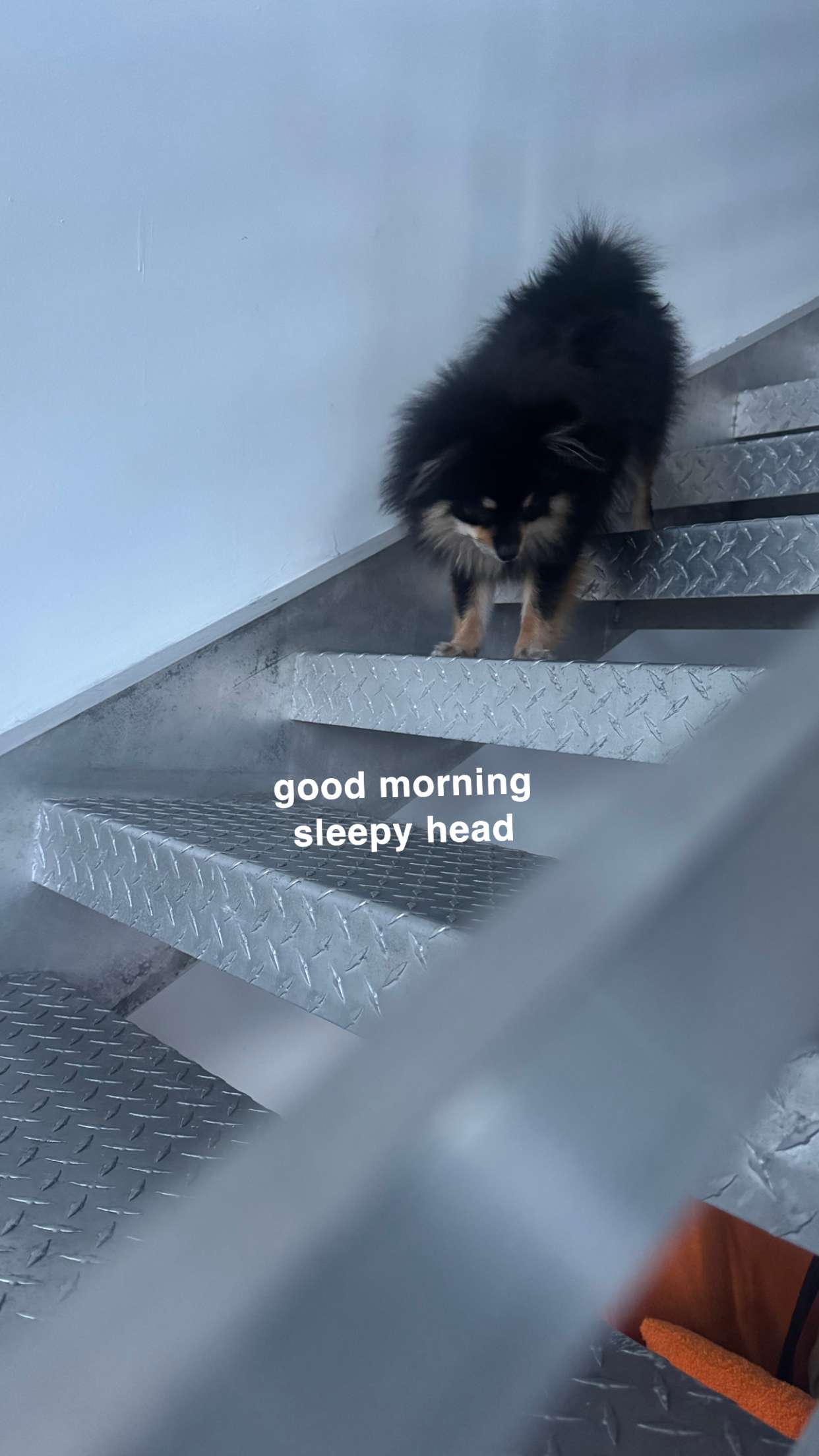 kaygcarlson snapchat image archive image