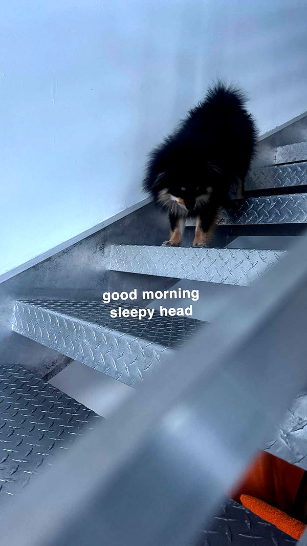 kaygcarlson image ~ Altpins