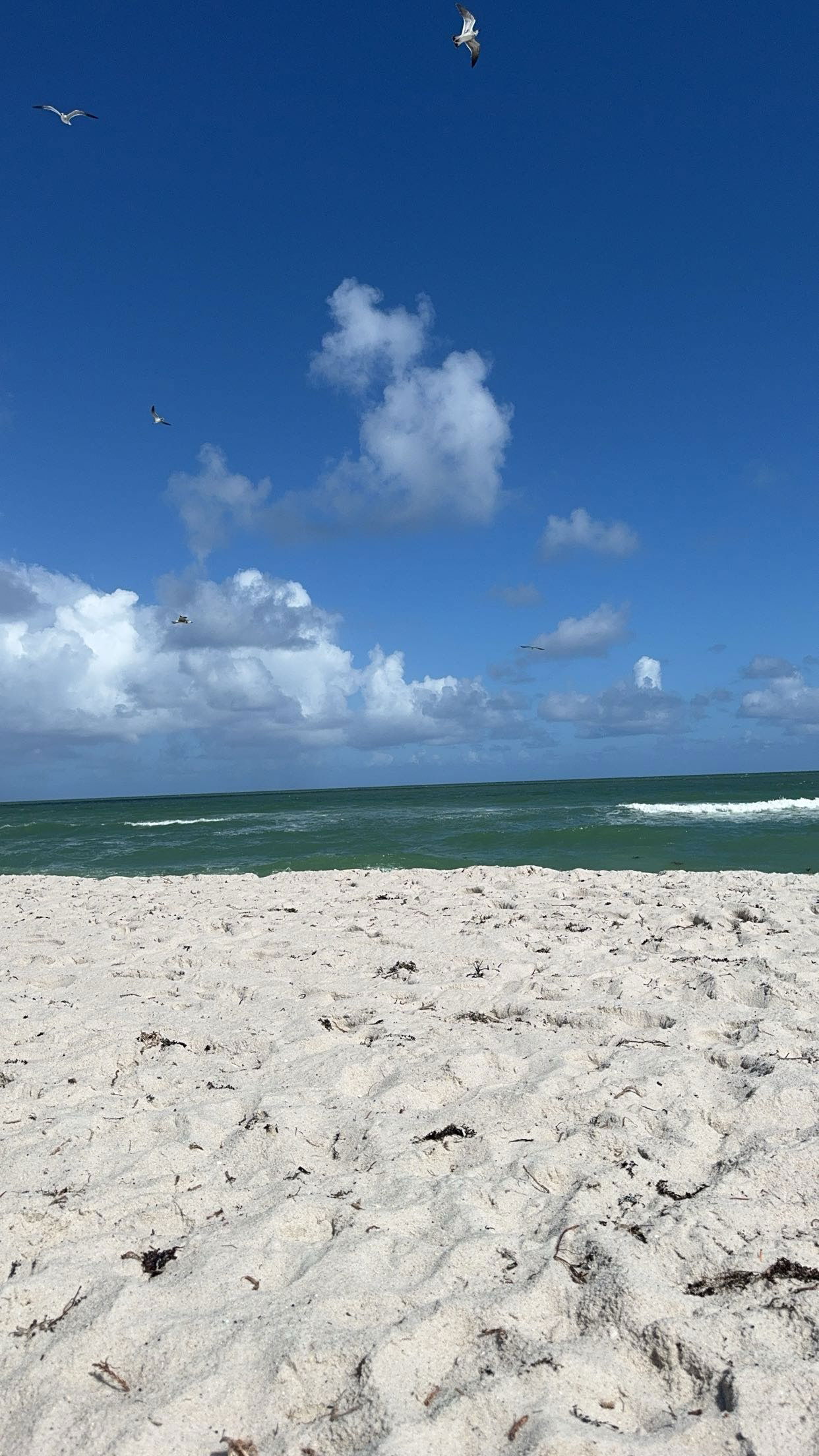 kaygcarlson snapchat image archive image