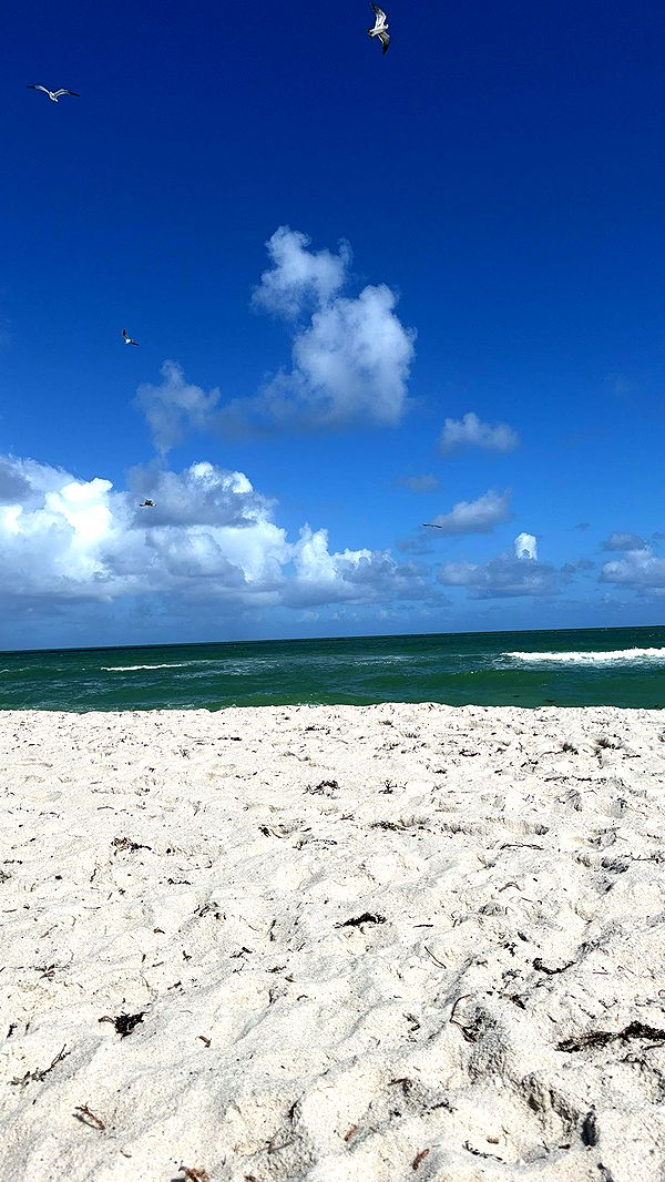 kaygcarlson image ~ Altpins