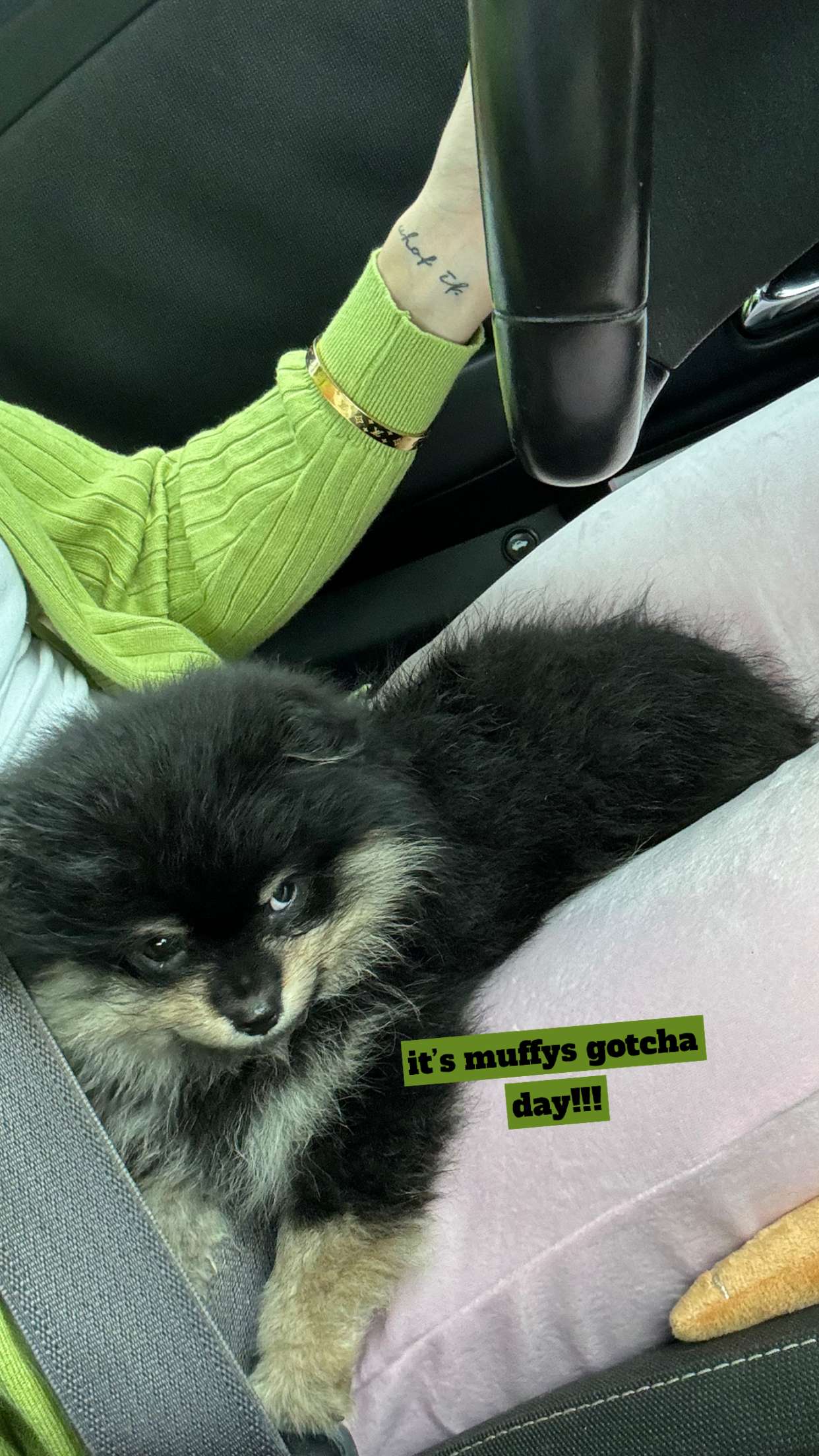 kaygcarlson snapchat image archive image