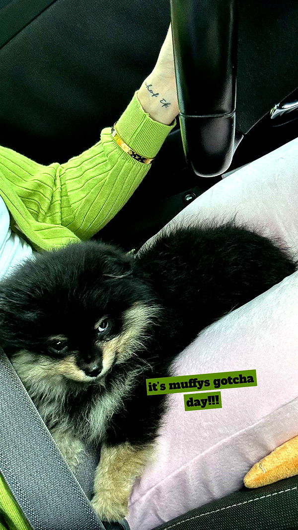 kaygcarlson image ~ Altpins