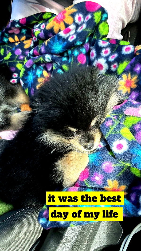 kaygcarlson image ~ Altpins