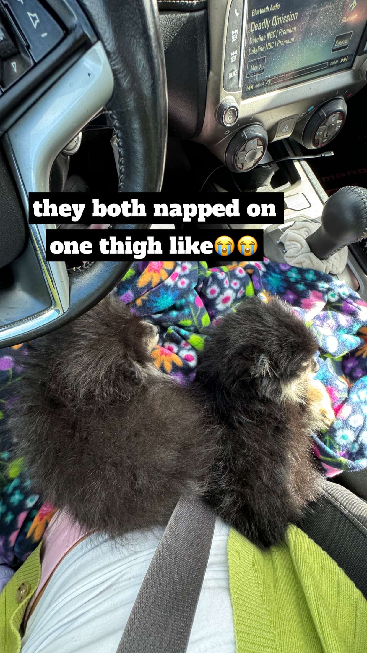 kaygcarlson snapchat image archive image