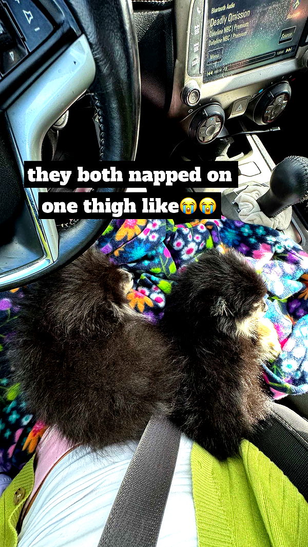 kaygcarlson image ~ Altpins