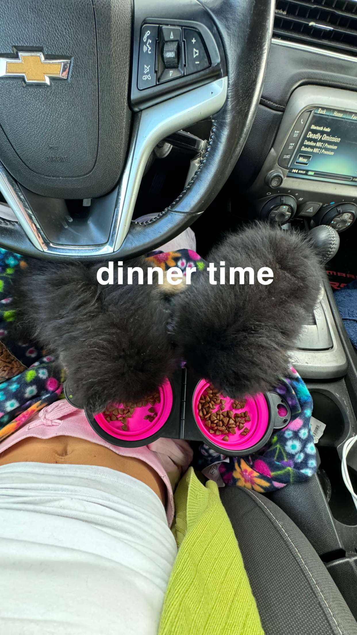 kaygcarlson snapchat image archive image