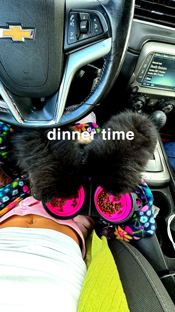 kaygcarlson image ~ Altpins