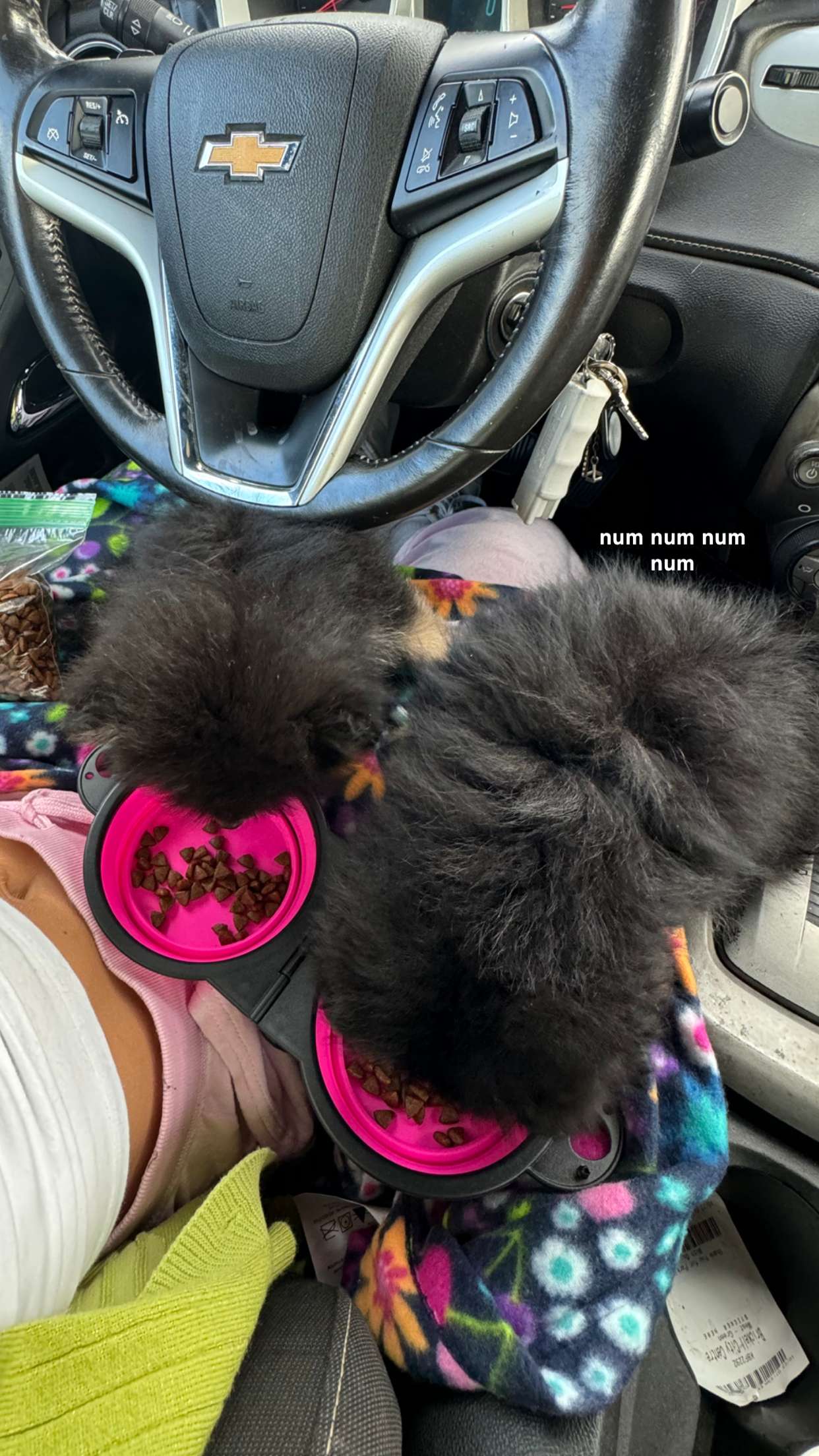 kaygcarlson snapchat image archive image