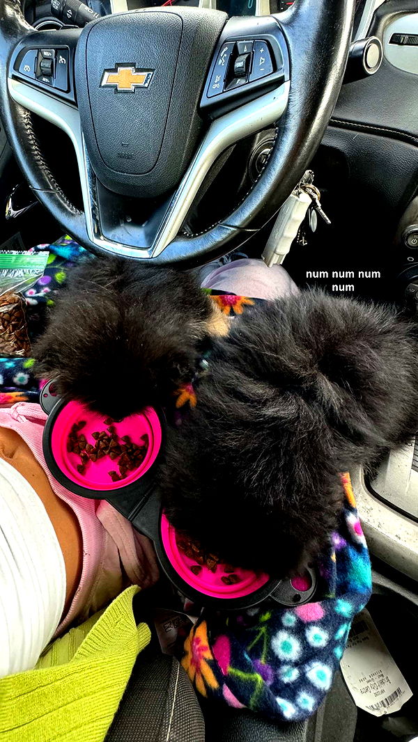 kaygcarlson image ~ Altpins