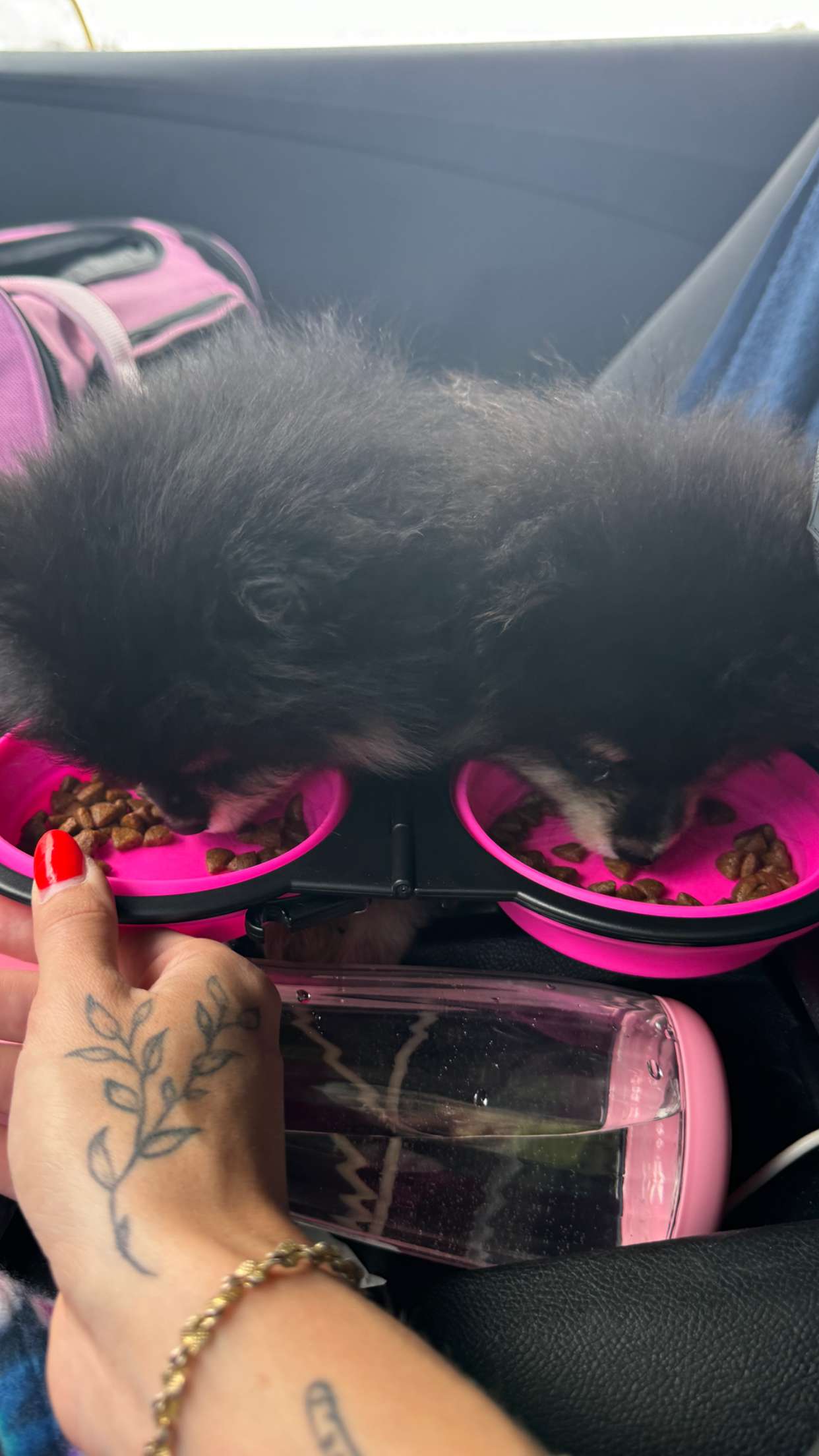 kaygcarlson snapchat image archive image