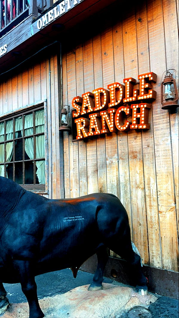 kaygcarlson image ~ Altpins