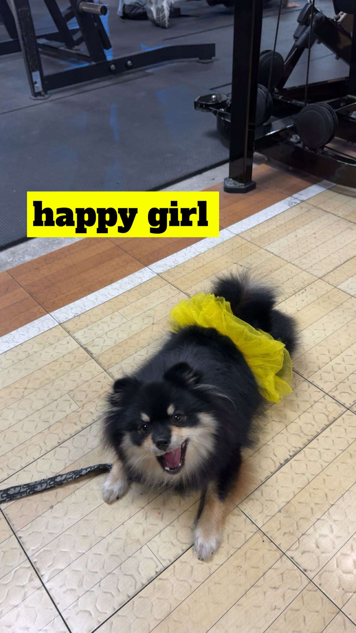 kaygcarlson snapchat image archive image