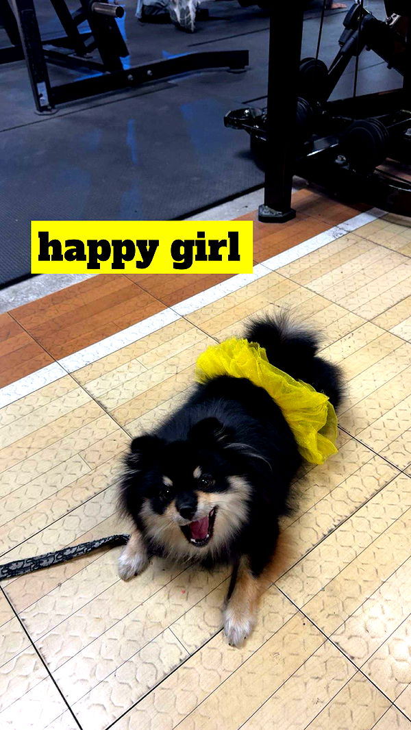 kaygcarlson image ~ Altpins