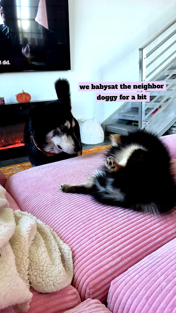 kaygcarlson image ~ Altpins