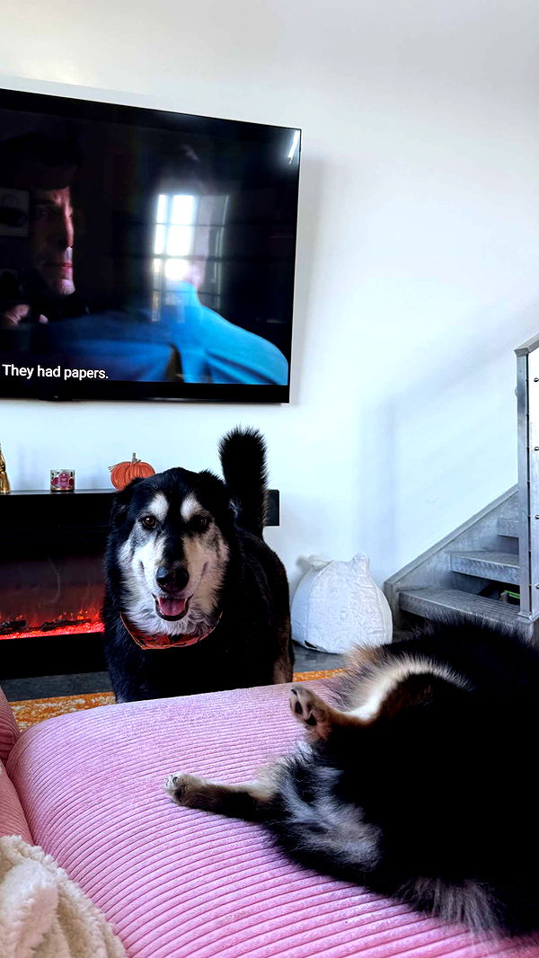 kaygcarlson image ~ Altpins