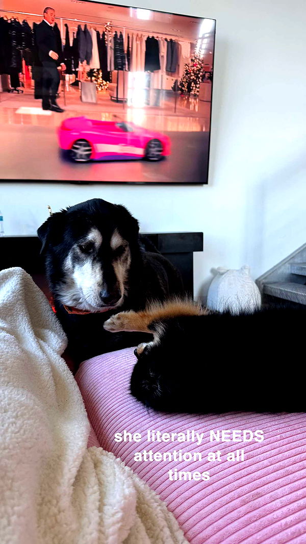 kaygcarlson image ~ Altpins