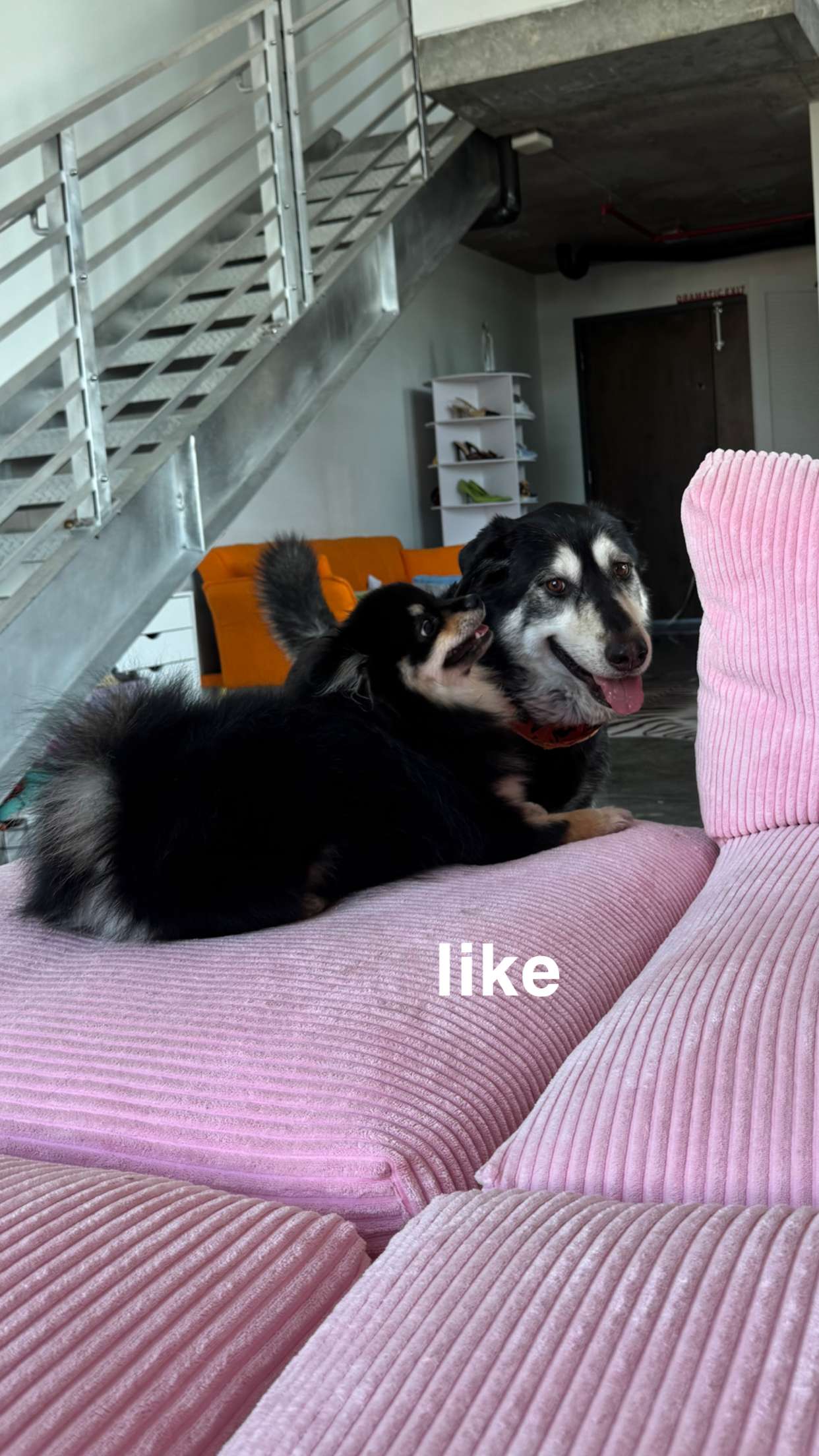 kaygcarlson snapchat image archive image