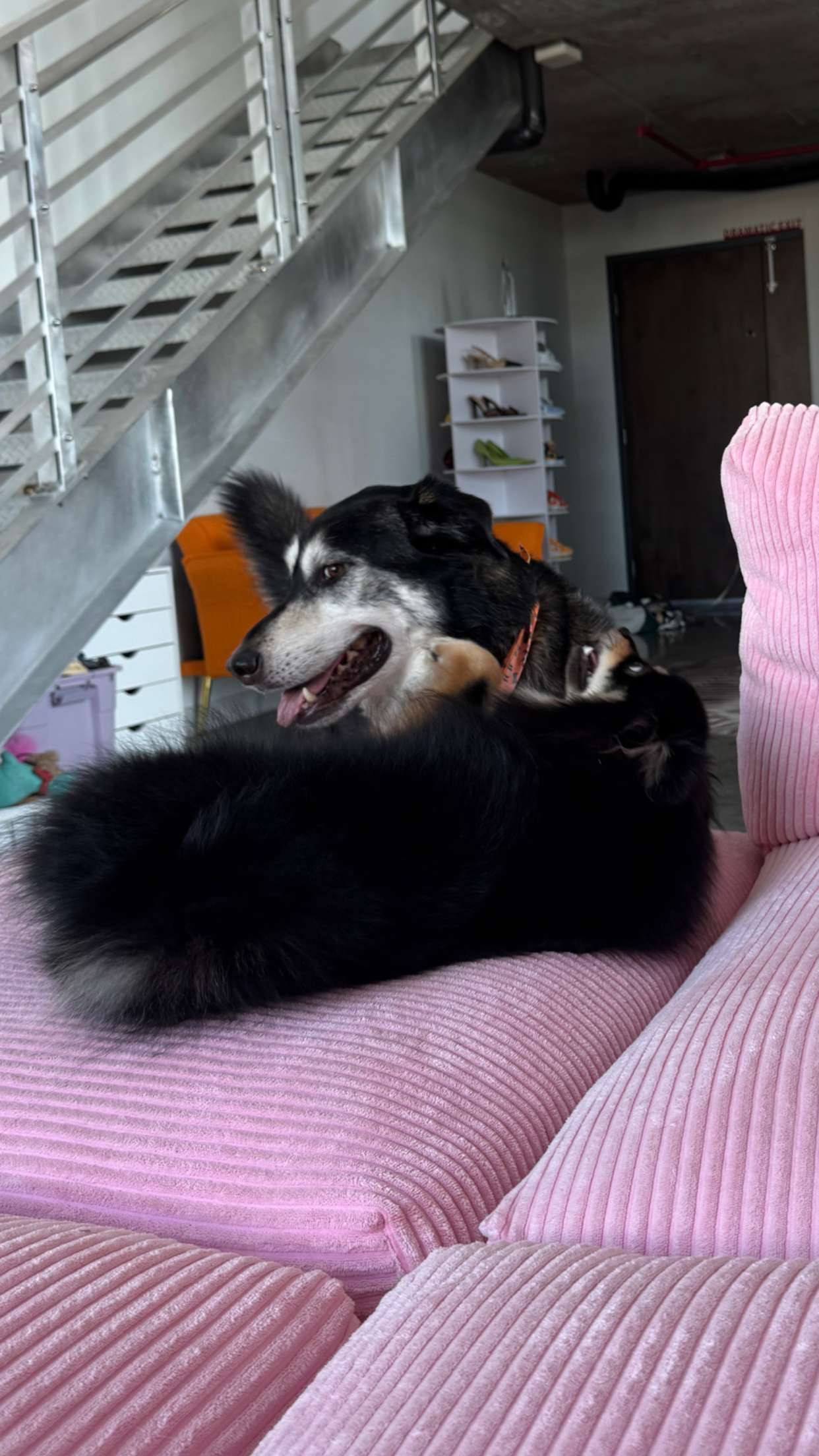 kaygcarlson snapchat image archive image