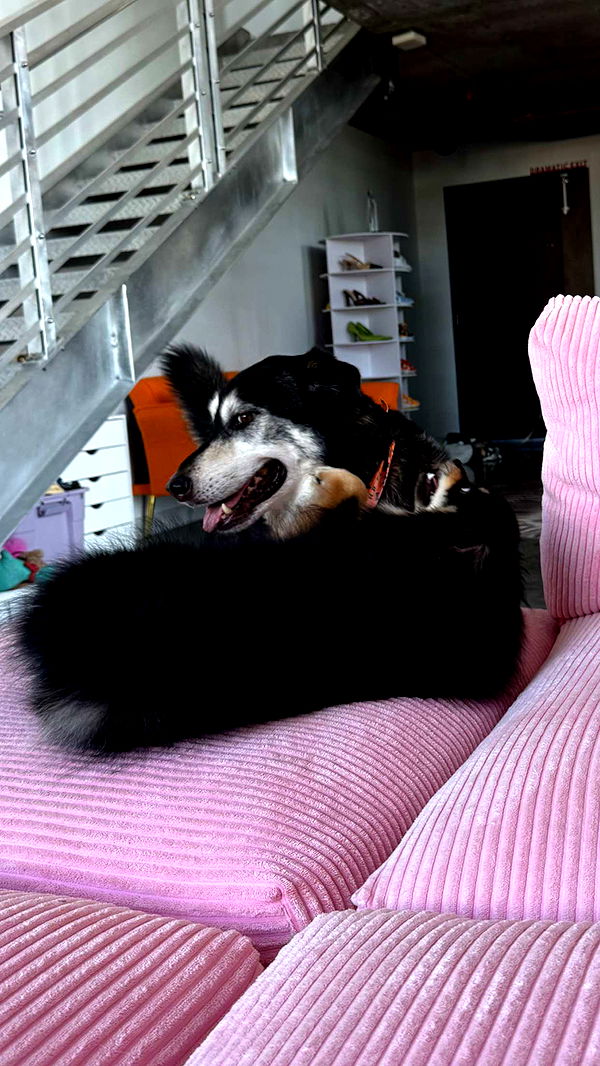 kaygcarlson image ~ Altpins