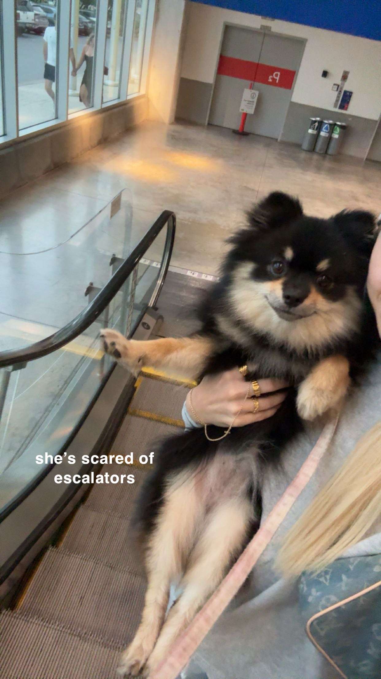 kaygcarlson snapchat image archive image