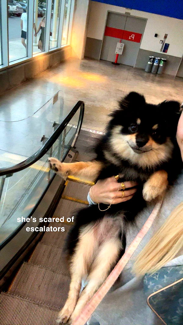 kaygcarlson image ~ Altpins