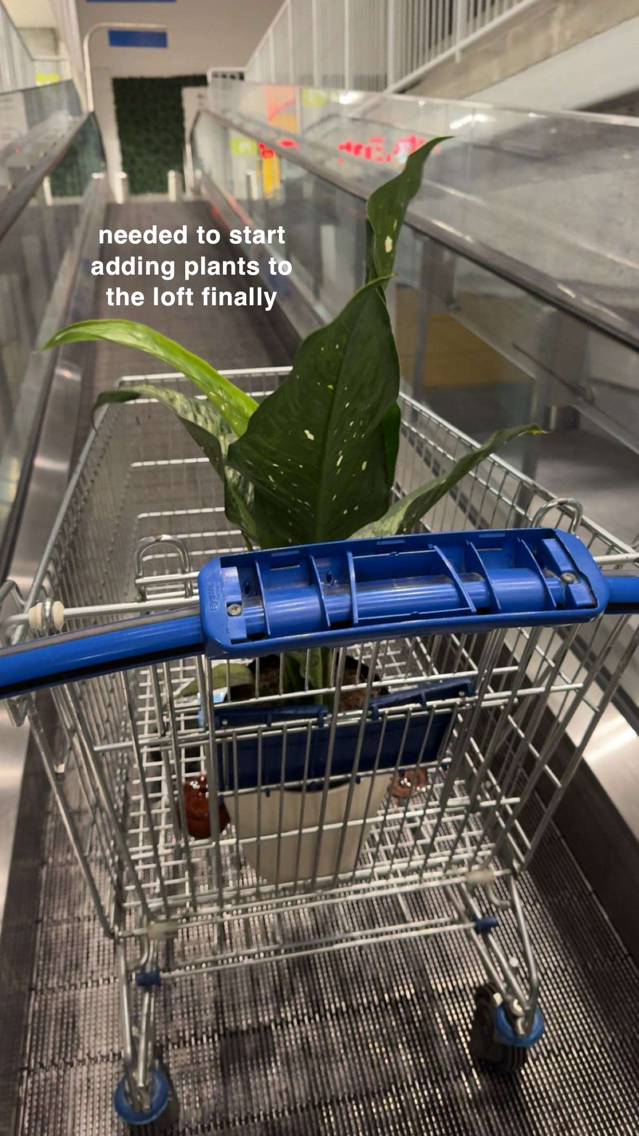 kaygcarlson snapchat image archive image