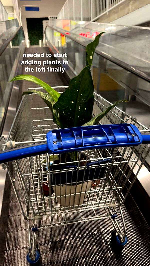 kaygcarlson image ~ Altpins