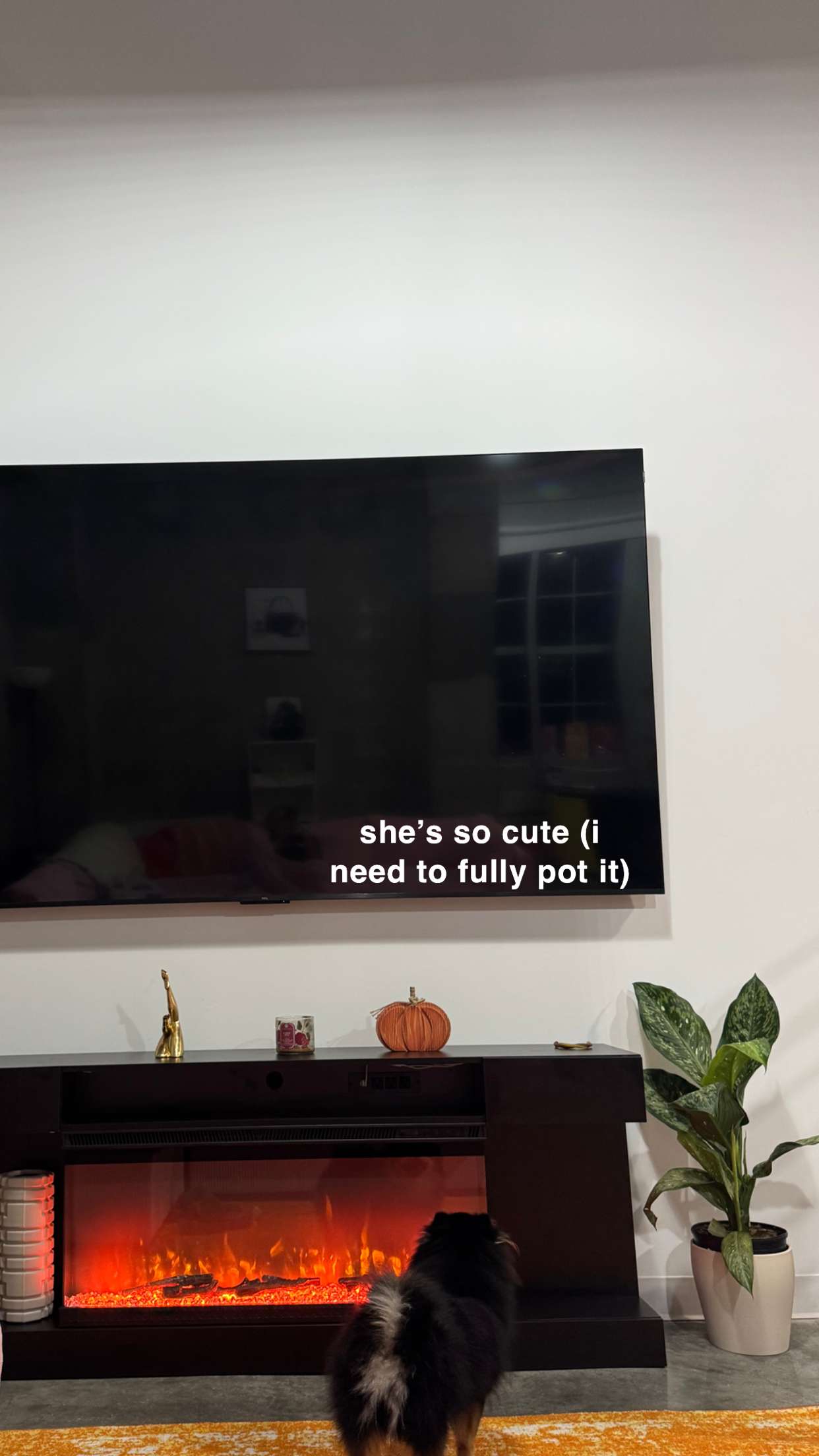 kaygcarlson snapchat image archive image