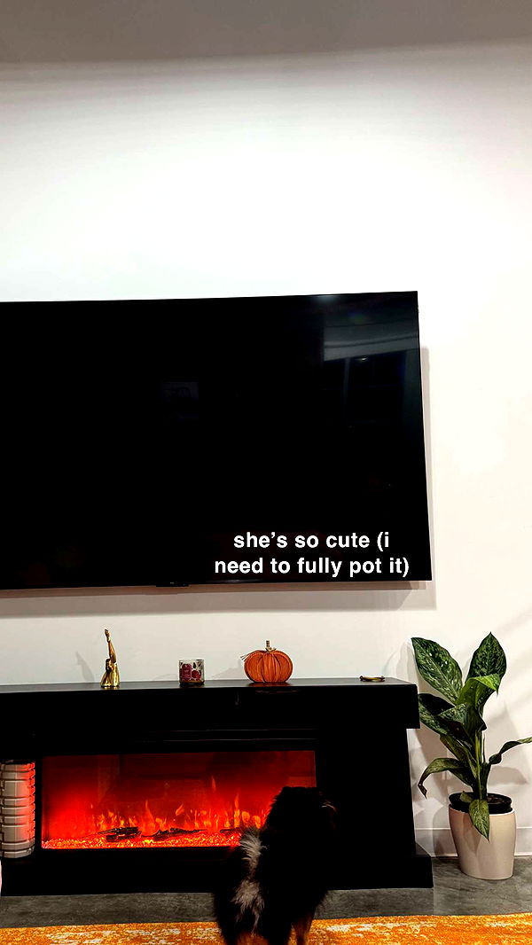 kaygcarlson image ~ Altpins